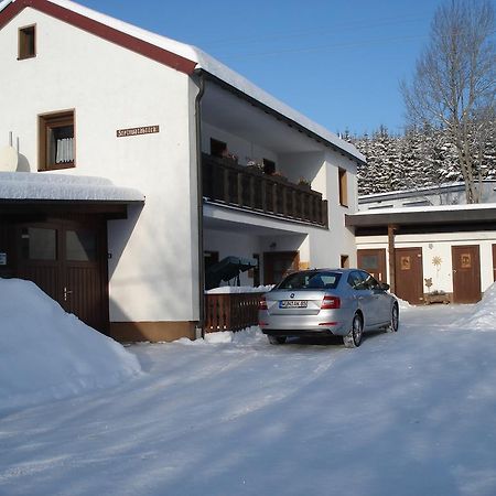 Bernlohe  Haus Steinwaldblick 아파트 외부 사진